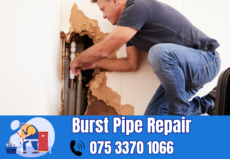 burst pipe repair Welling