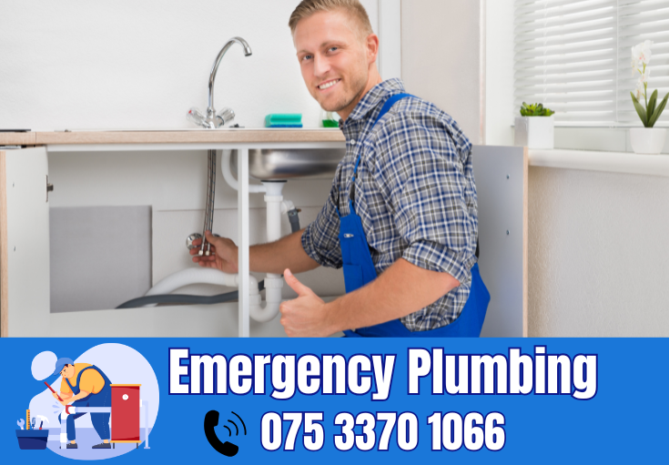  plumber Bexleyheath