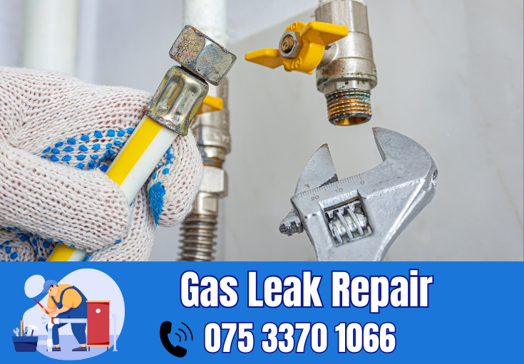 gas leak repair Welling