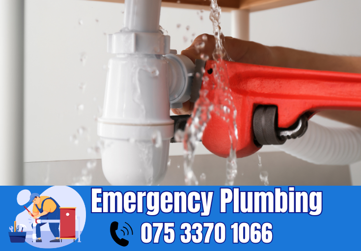  plumber Falconwood