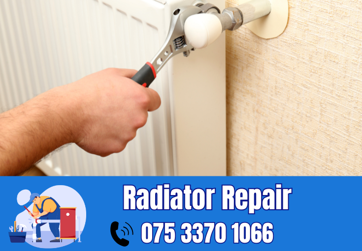 radiator repair and installation Welling
