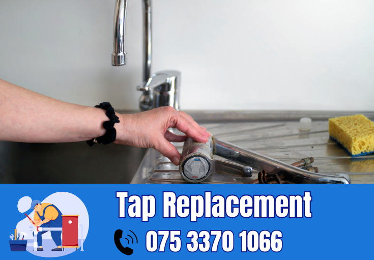 tap repair and replacement Welling