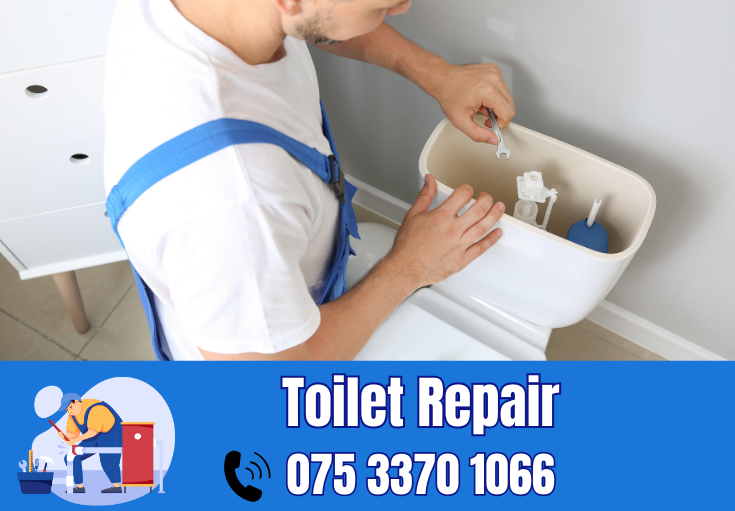 toilet repair Welling
